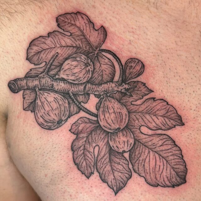 Etched tattoo of a fig branch with ripe figs and large leaves